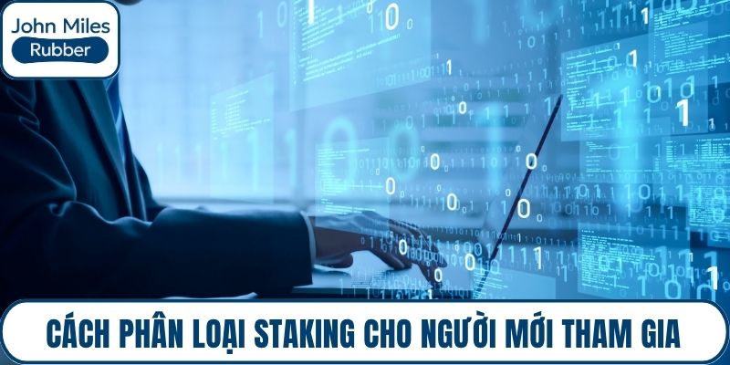 Cách phân loại Staking cho người mới tham gia