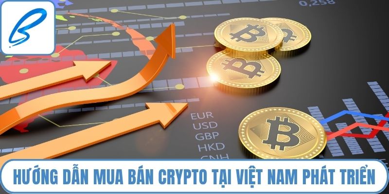 Hướng dẫn mua bán crypto tại Việt Nam phát triển mạnh mẽ