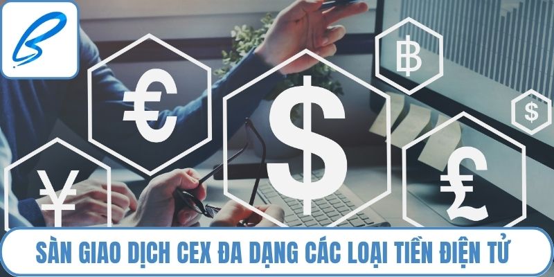 Sàn giao dịch CEX đa dạng các loại tiền điện tử 
