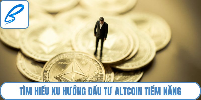 Tìm hiểu xu hướng đầu tư altcoin tiềm năng năm 2024 – 2025